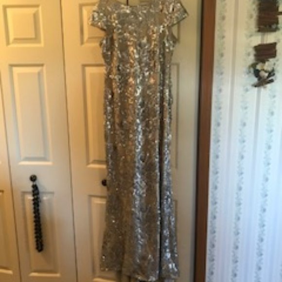Calvin Klein long silver dress with lots of embellishments all over!  Size 14 - Picture 2 of 2
